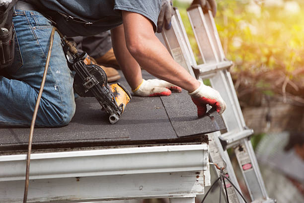 Best Roof Gutter Cleaning  in Dahlgren, VA